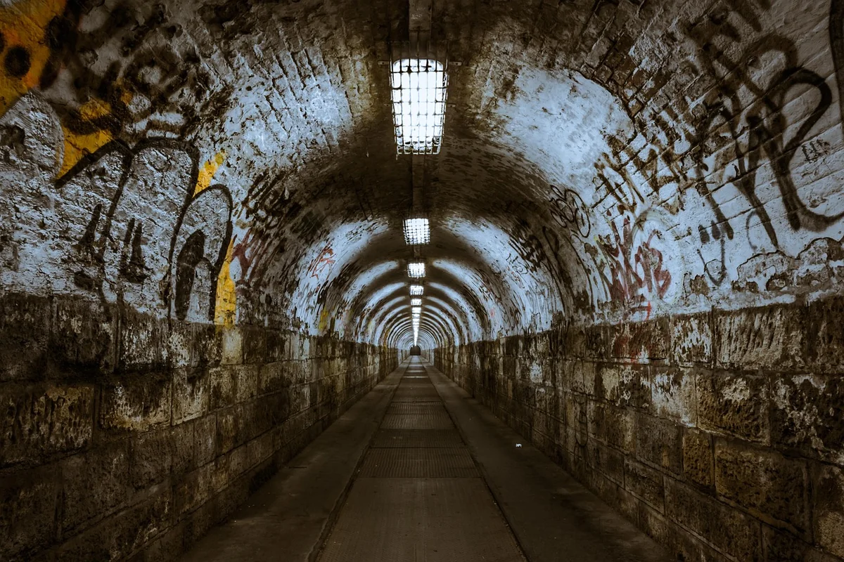 Techniques de peinture 2026 : redonnez vie à vos murs avec style et créativité