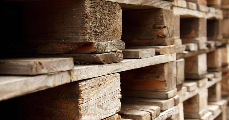 Fabriquer un support pour plantes grimpantes en palettes facilement