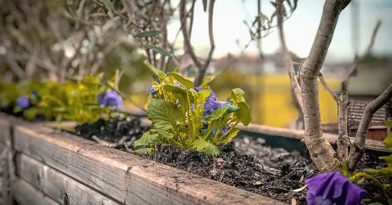 Le support sur pied : quand la jardinière et le treillis ne font qu'un