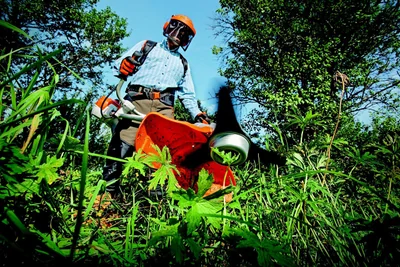 Les meilleurs conseils 2026 pour entretenir correctement vos outils de jardinage